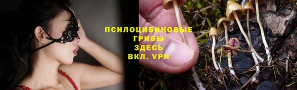 первитин Алексеевка