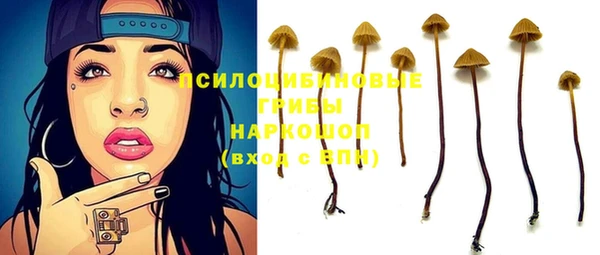 бутират Алексин