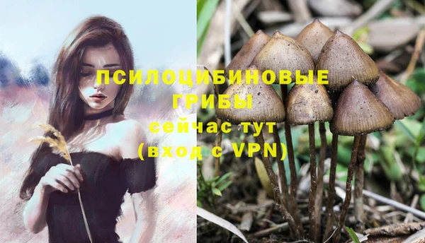 молекула духа Абинск