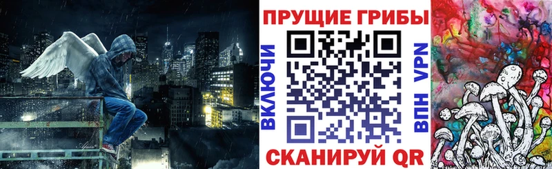 ссылка на мегу маркетплейс Собинка Псилоцибиновые грибы GOLDEN TEACHER